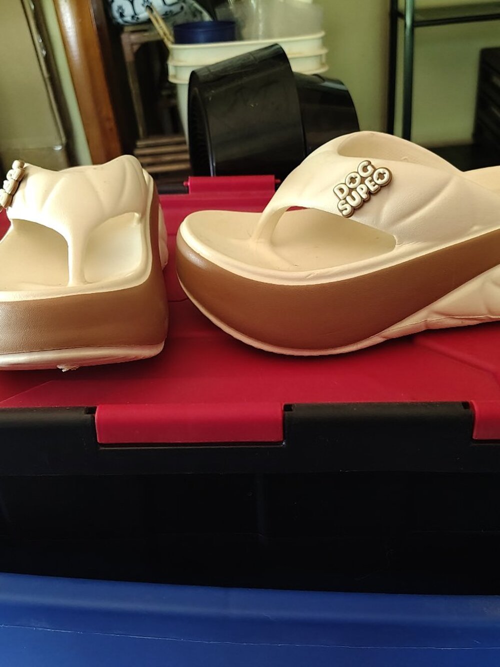 Summer Thick-Soled Women's Flip-Flops
